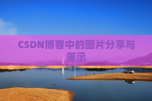 CSDN博客中的图片分享与展示